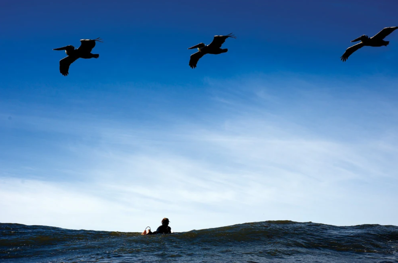 ¿Surfear solo o acompañado?